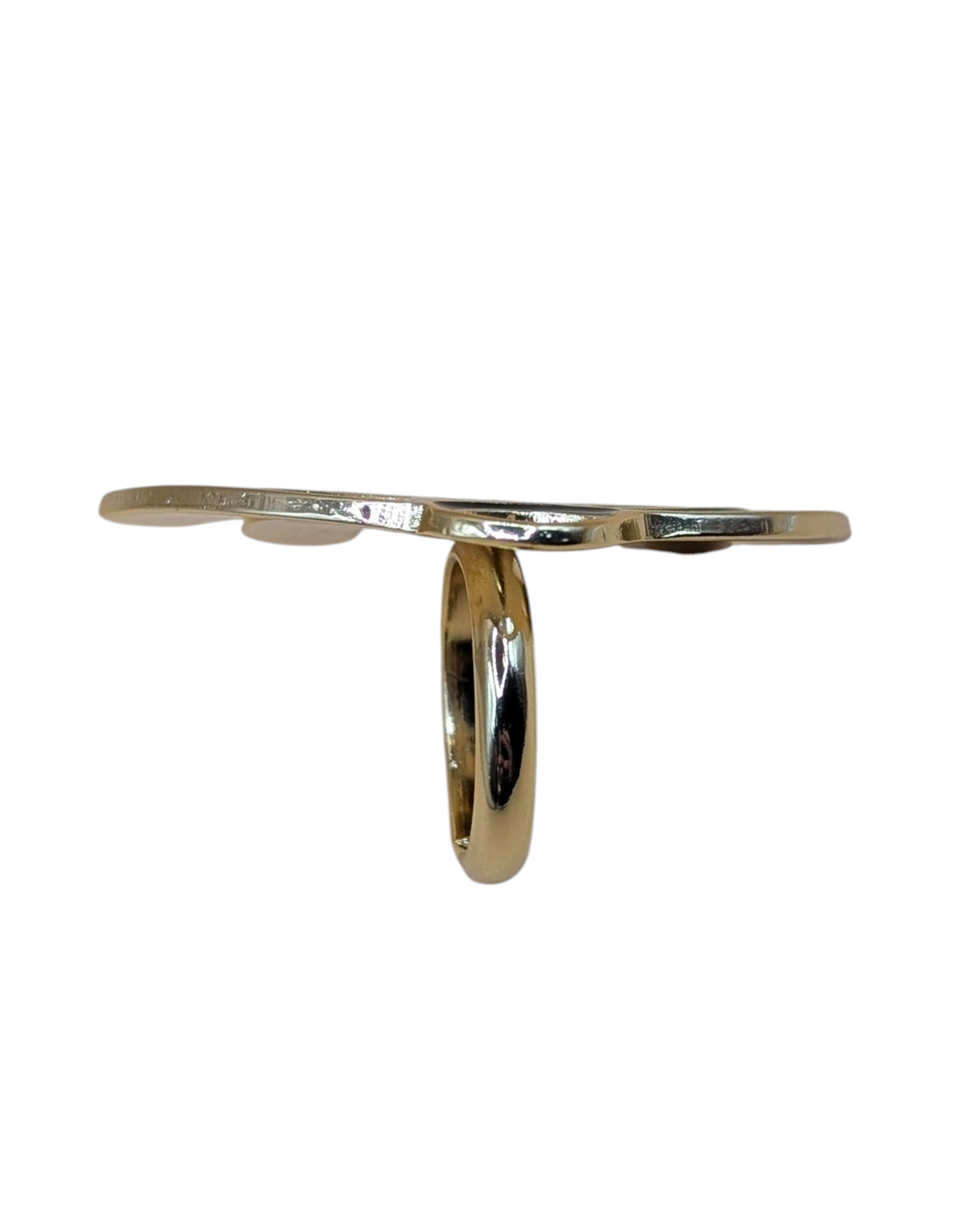 Fan Ring