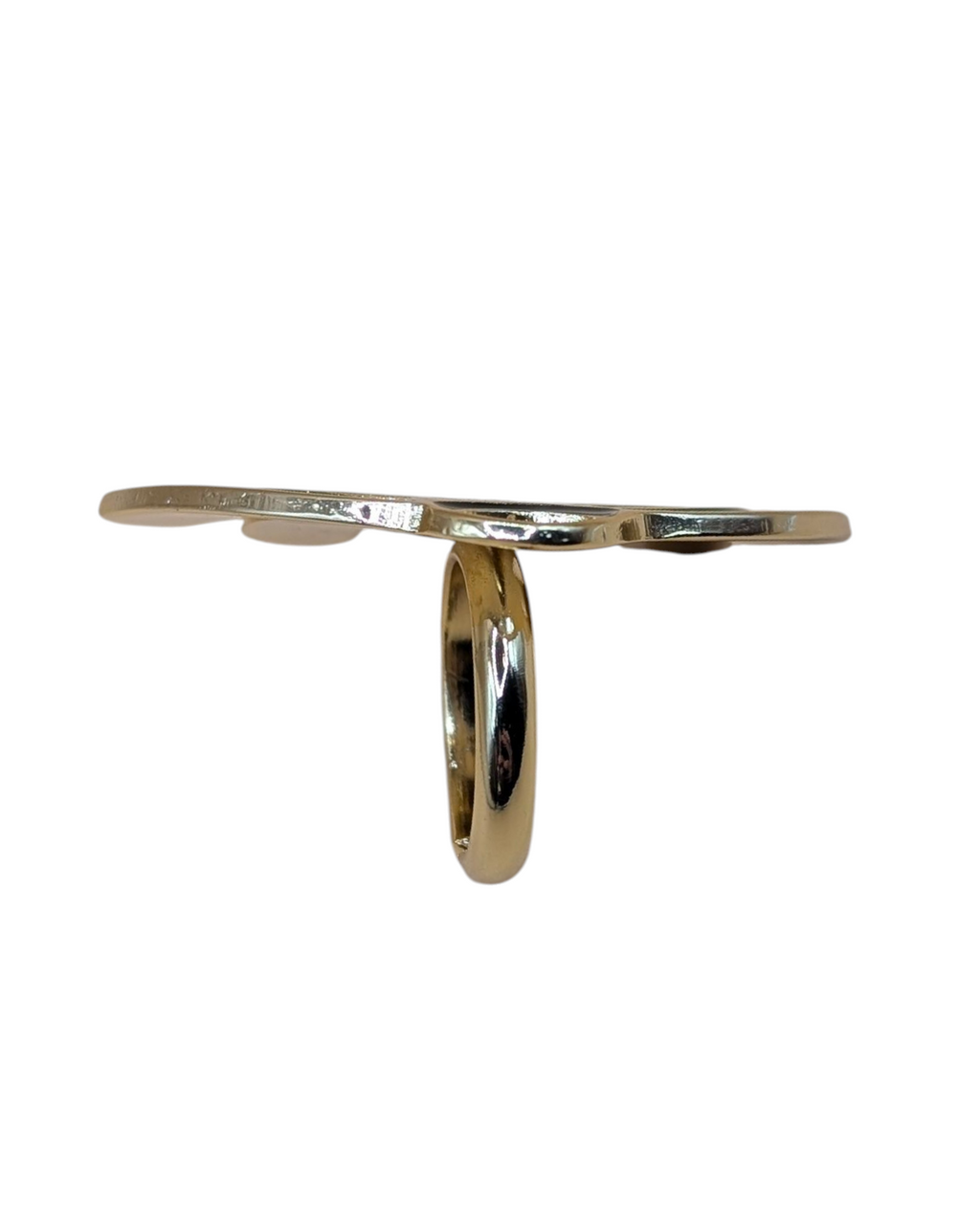 Fan Ring